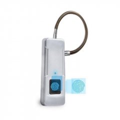 WiWU Smart device P4 Fingerprint padlock Silver